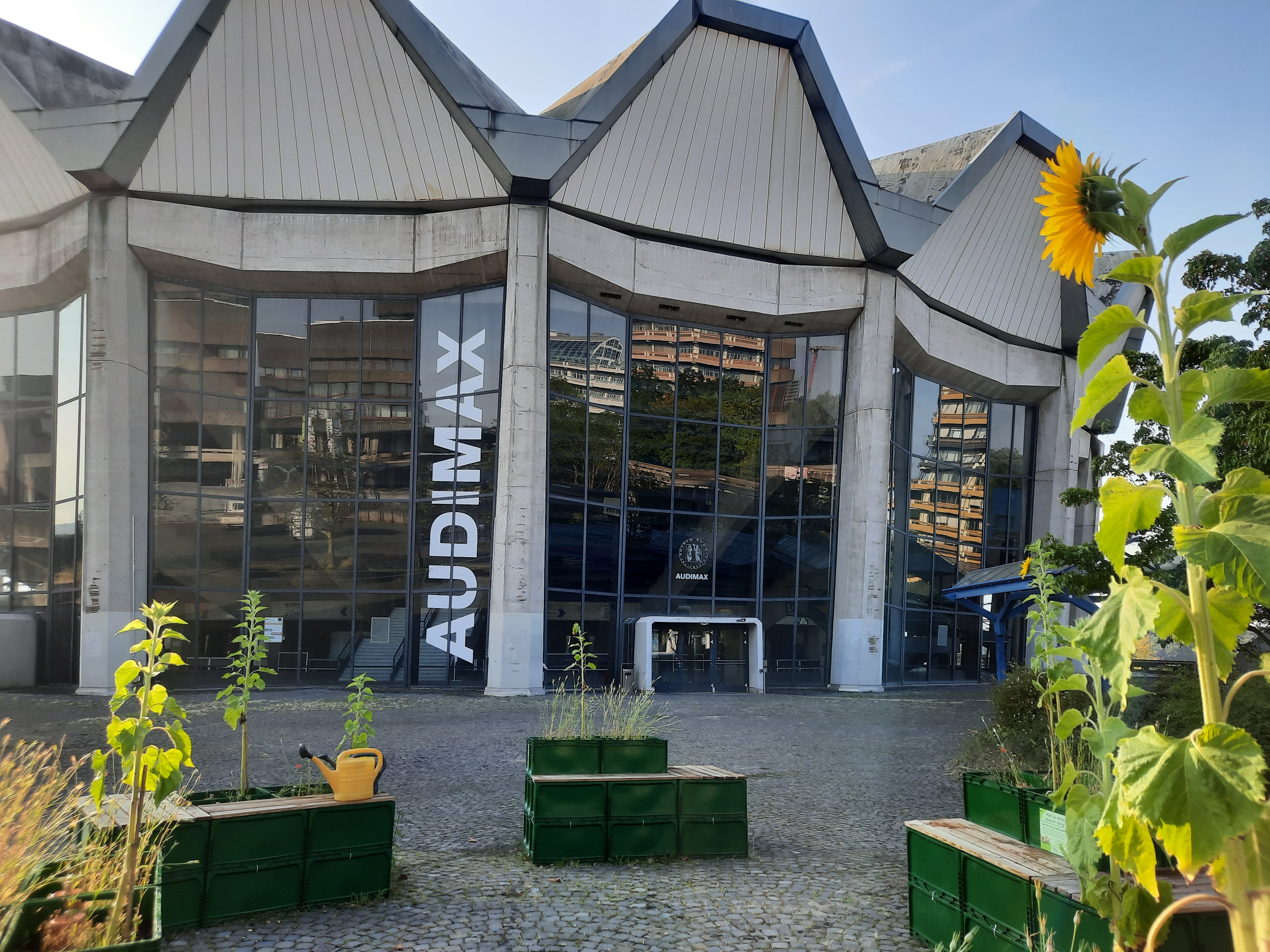 Blühende Sitzbänke vor dem Audimax