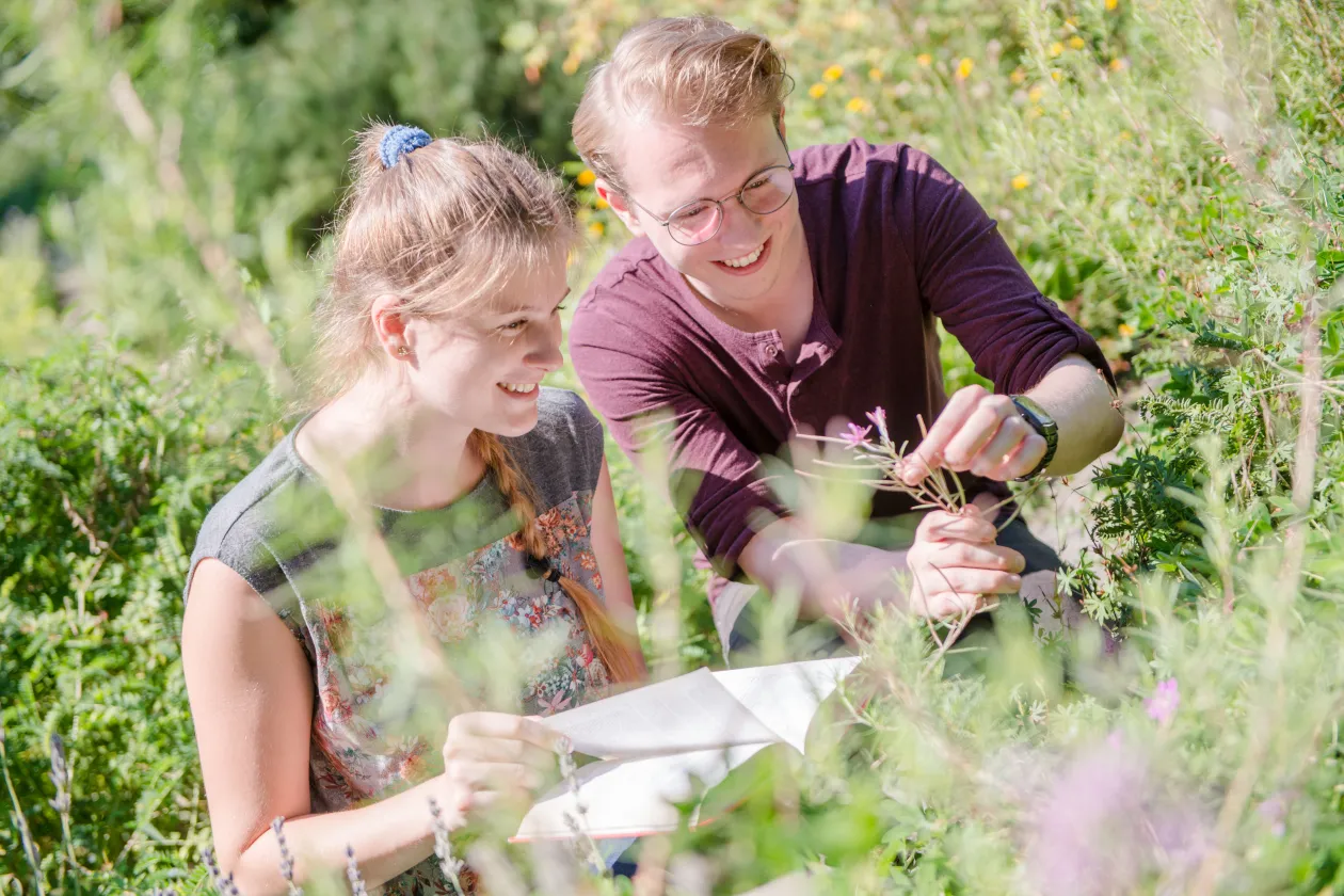 Studentin und Student im Gras schauen Blumen an