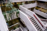 Grünpflanzen ranken das Treppenhaus der Unibibliothek entlang