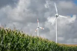 Maisfeld vor Windrädern