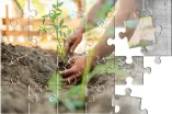 Puzzle mit Motiv  von gärtnernden Händen
