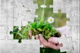 Gänseblümchen Hand Puzzle