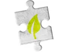 Grünes Blatt auf grauem Puzzleteil