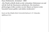 n_bild5