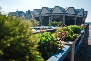 Blumenkästen vor dem Audimax