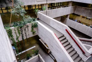 Grünpflanzen ranken das Treppenhaus der Unibibliothek entlang