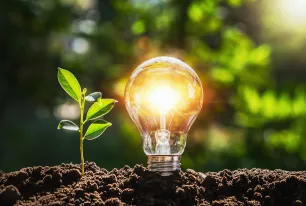 Glühbirne in der Erde