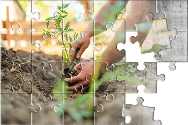 Hände die buddeln auf Puzzle